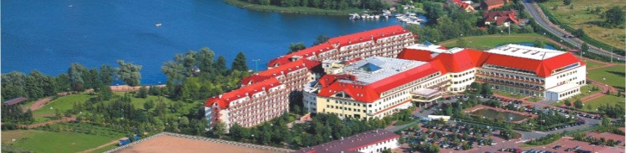 GOLEBIEWSKI     -      